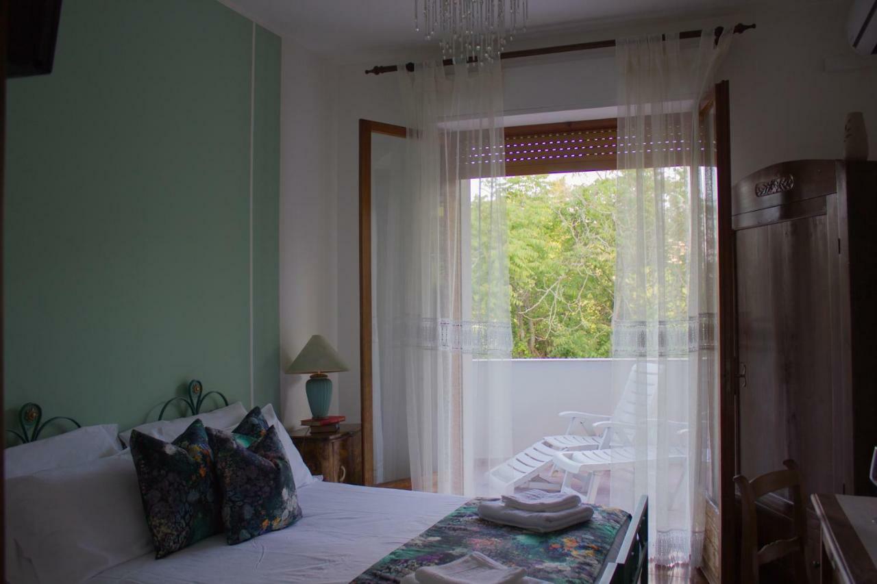 View Bed & Breakfast
